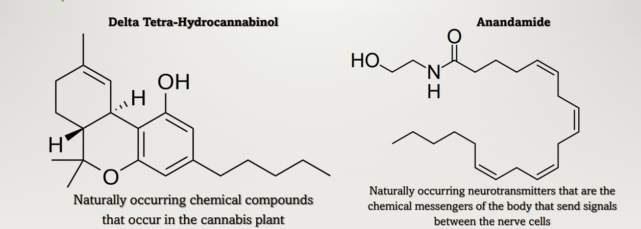 Cannabinoids